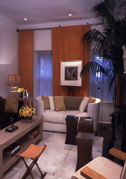 Murray Hill Townhouse Sitting - South Library  /  Library 